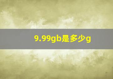 9.99gb是多少g