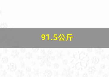 91.5公斤