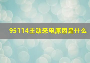 95114主动来电原因是什么