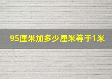 95厘米加多少厘米等于1米