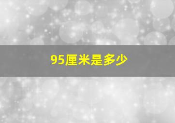 95厘米是多少