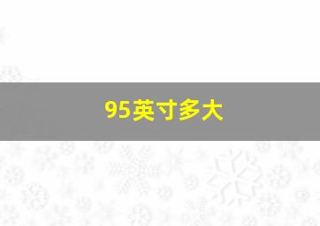 95英寸多大