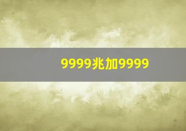 9999兆加9999