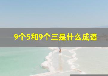 9个5和9个三是什么成语