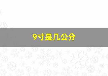 9寸是几公分