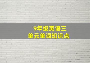 9年级英语三单元单词知识点