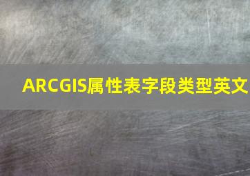 ARCGIS属性表字段类型英文