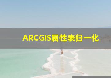 ARCGIS属性表归一化