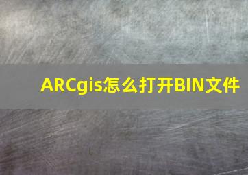 ARCgis怎么打开BIN文件