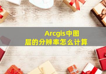 Arcgis中图层的分辨率怎么计算