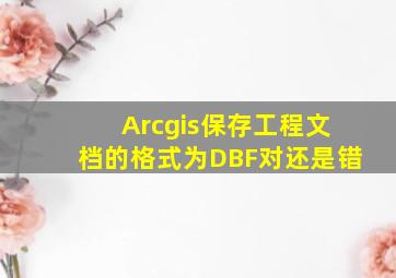 Arcgis保存工程文档的格式为DBF对还是错