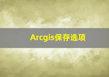 Arcgis保存选项