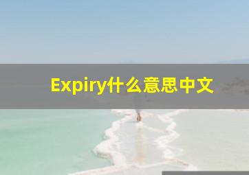 Expiry什么意思中文