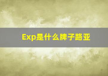 Exp是什么牌子路亚