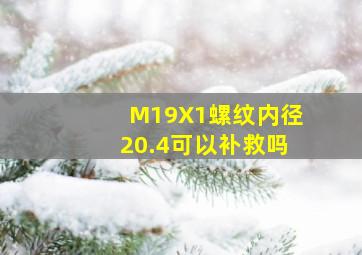 M19X1螺纹内径20.4可以补救吗