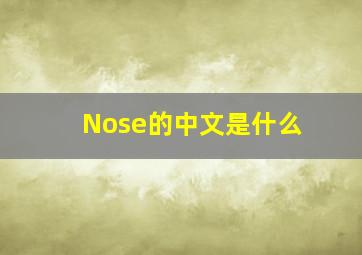 Nose的中文是什么