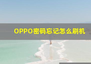 OPPO密码忘记怎么刷机