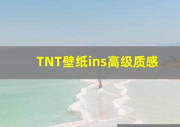 TNT壁纸ins高级质感