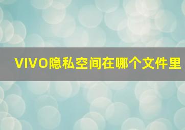 VIVO隐私空间在哪个文件里