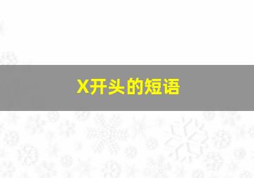 X开头的短语