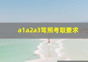 a1a2a3驾照考取要求