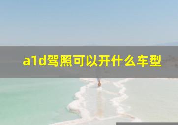 a1d驾照可以开什么车型