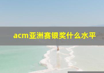 acm亚洲赛银奖什么水平