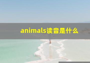 animals读音是什么