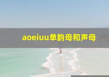 aoeiuu单韵母和声母