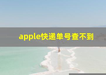 apple快递单号查不到