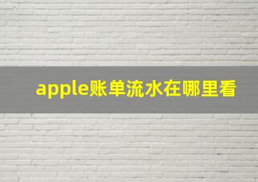 apple账单流水在哪里看