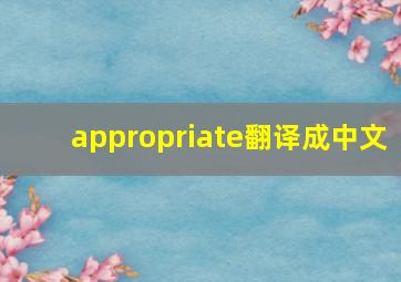 appropriate翻译成中文