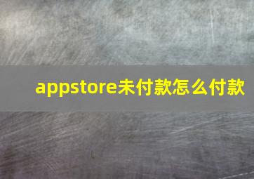 appstore未付款怎么付款