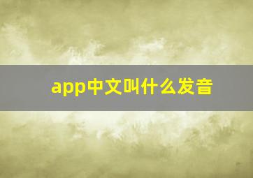 app中文叫什么发音