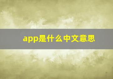 app是什么中文意思