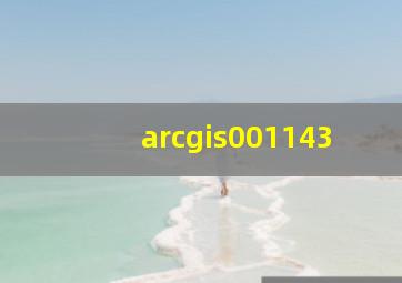 arcgis001143