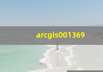 arcgis001369