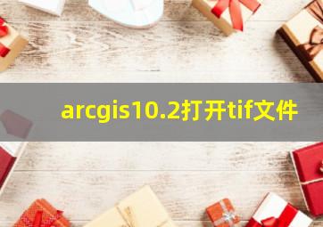 arcgis10.2打开tif文件