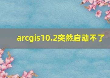 arcgis10.2突然启动不了