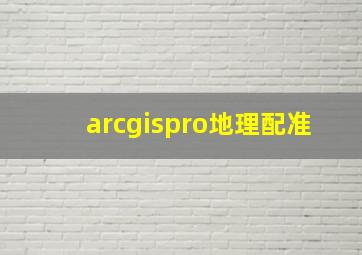 arcgispro地理配准