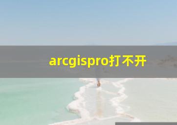 arcgispro打不开