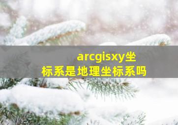 arcgisxy坐标系是地理坐标系吗