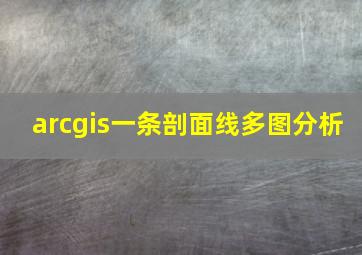 arcgis一条剖面线多图分析