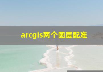 arcgis两个图层配准