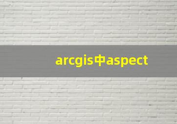 arcgis中aspect