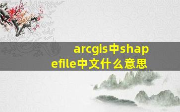 arcgis中shapefile中文什么意思