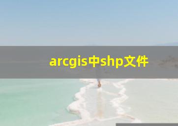 arcgis中shp文件