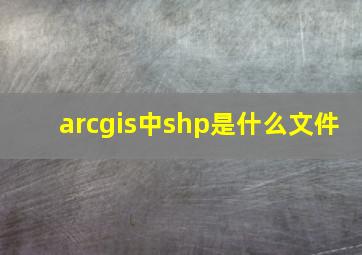 arcgis中shp是什么文件