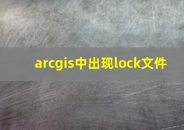 arcgis中出现lock文件