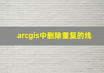 arcgis中删除重复的线